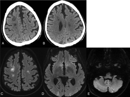 FIG 7.
