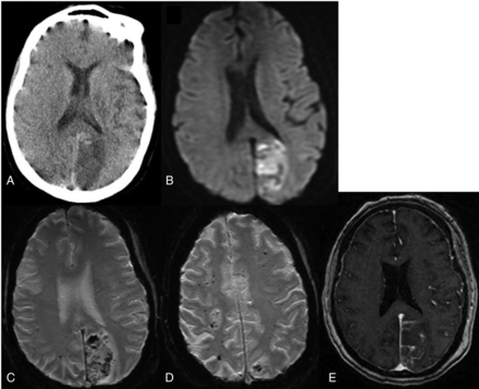 FIG 8.