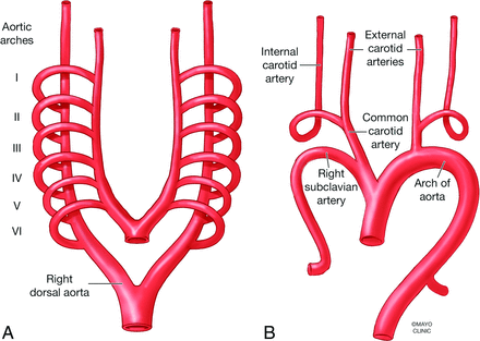 FIG 2.