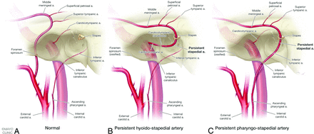 FIG 3.