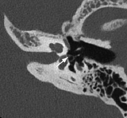 FIG 8.