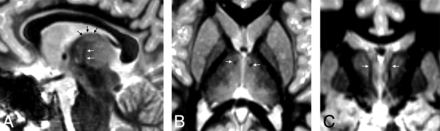 FIG 7.