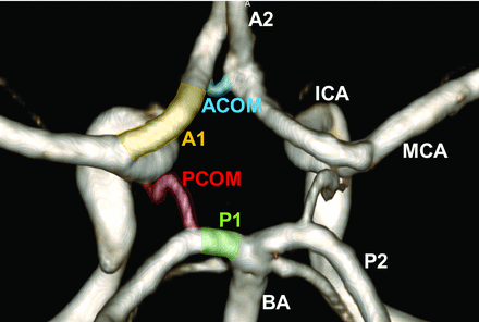 FIG 1.