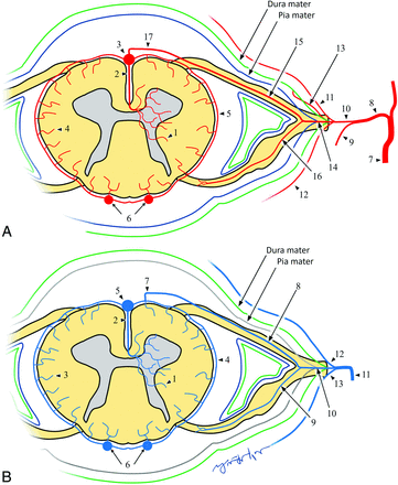 FIG 1.