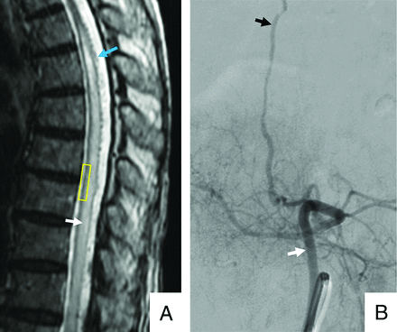 FIG 3.