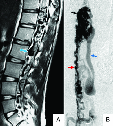 FIG 5.
