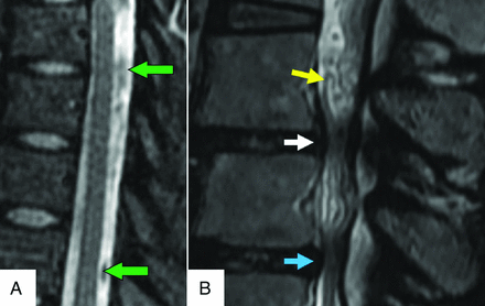 FIG 7.