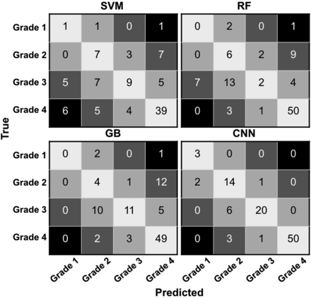 FIG 2.
