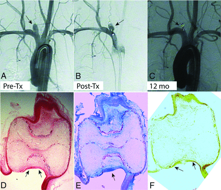 FIG 3.