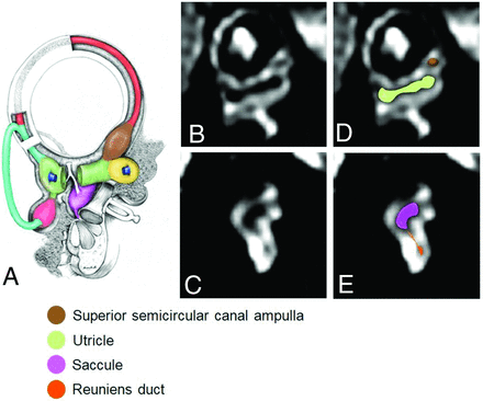 FIG 1.
