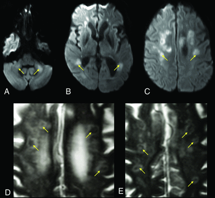 FIG 3.