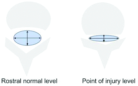 FIG 5.