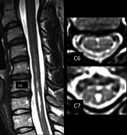 FIG 1.