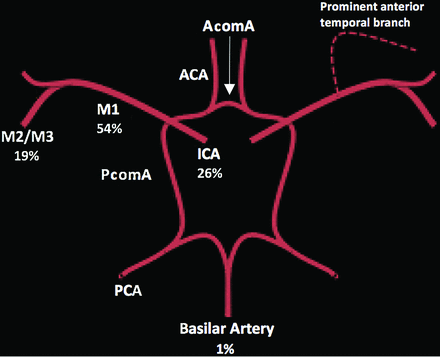 FIG 2.