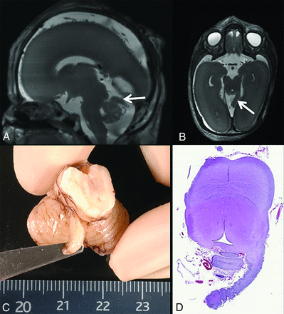 FIG 8.