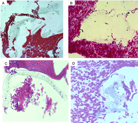 FIG 3.