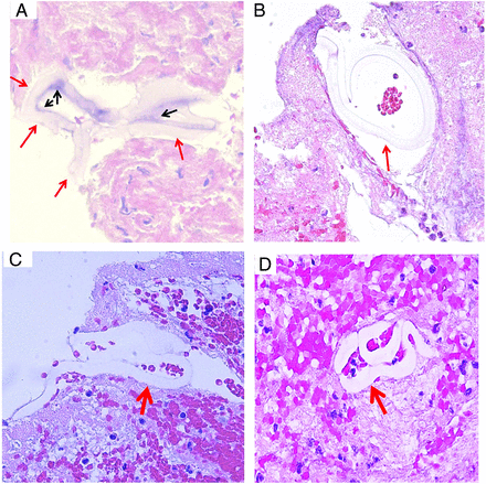 FIG 8.