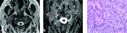 FIG 3.