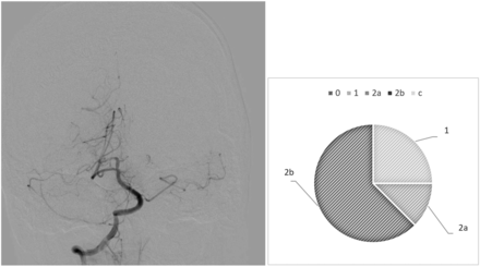 FIG 1.