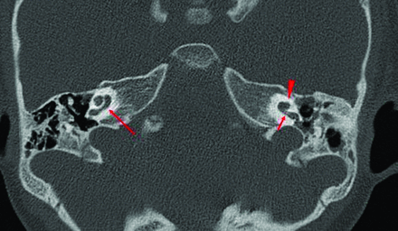 FIG 7.