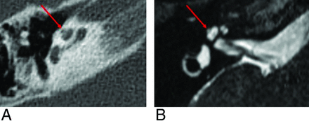 FIG 8.