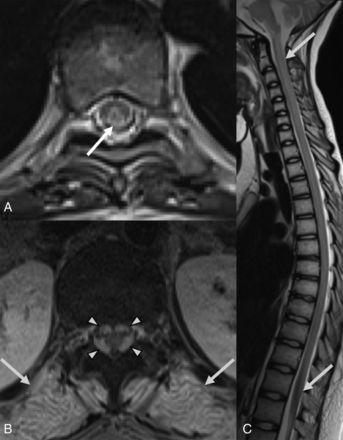 FIG 6.