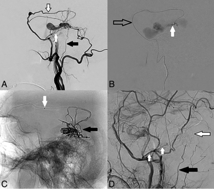 FIG 3.