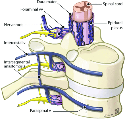 FIG 1.
