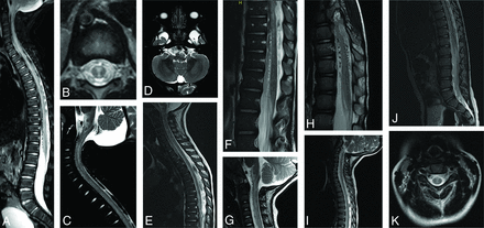 FIG 1.