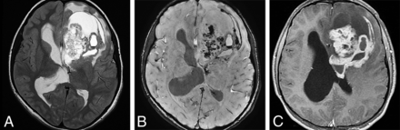 FIG 9.