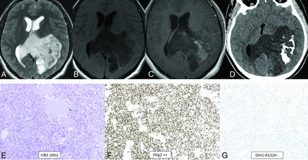 FIG 7.
