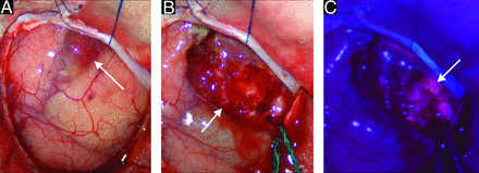 FIG 3.