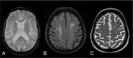 FIG 1.