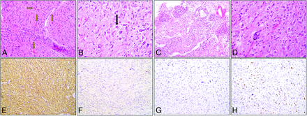 FIG 3.