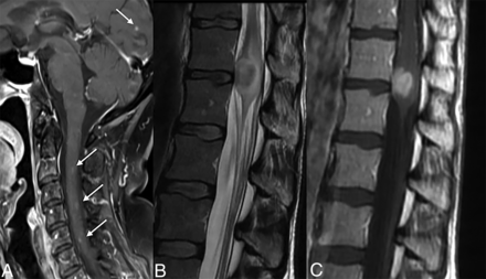 FIG 4.