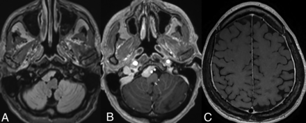 FIG 8.