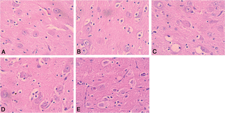 Fig 3.
