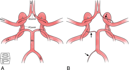 Fig 1.