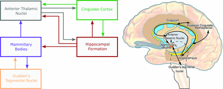 Fig 1.