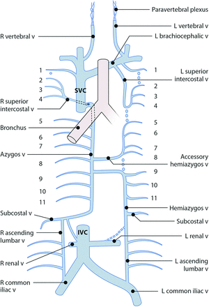 FIG 6.