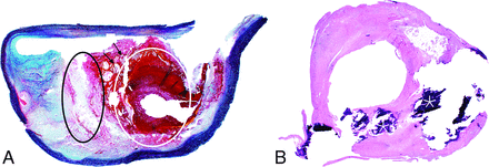 FIG 3.