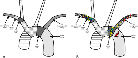 FIG 8.