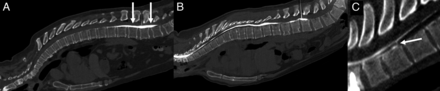 FIG 1.