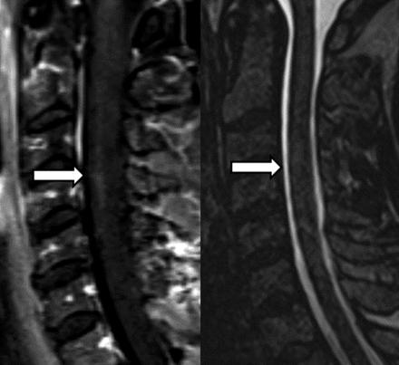 FIG 5.