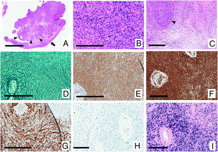 FIG 2.